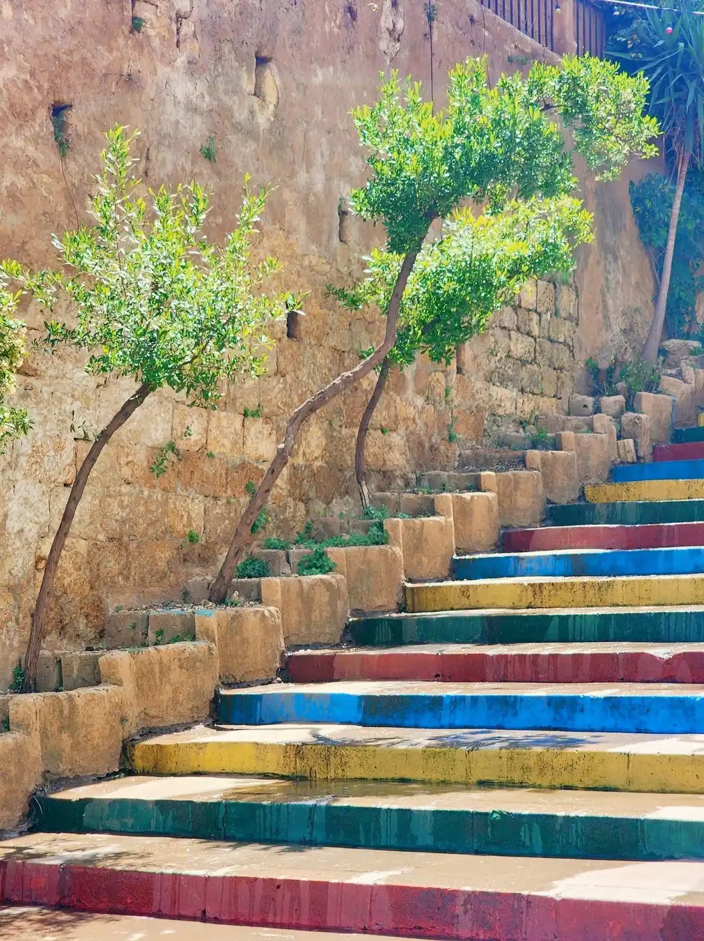 مشهد من طرابلس